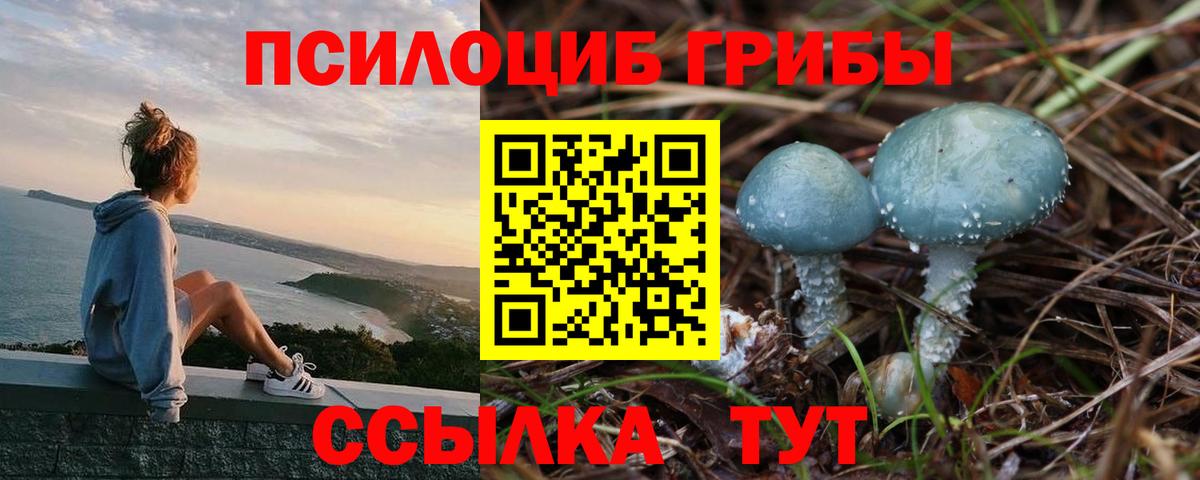 Псилоцибиновые грибы мицелий  Вход с VPN  Дальнереченск 